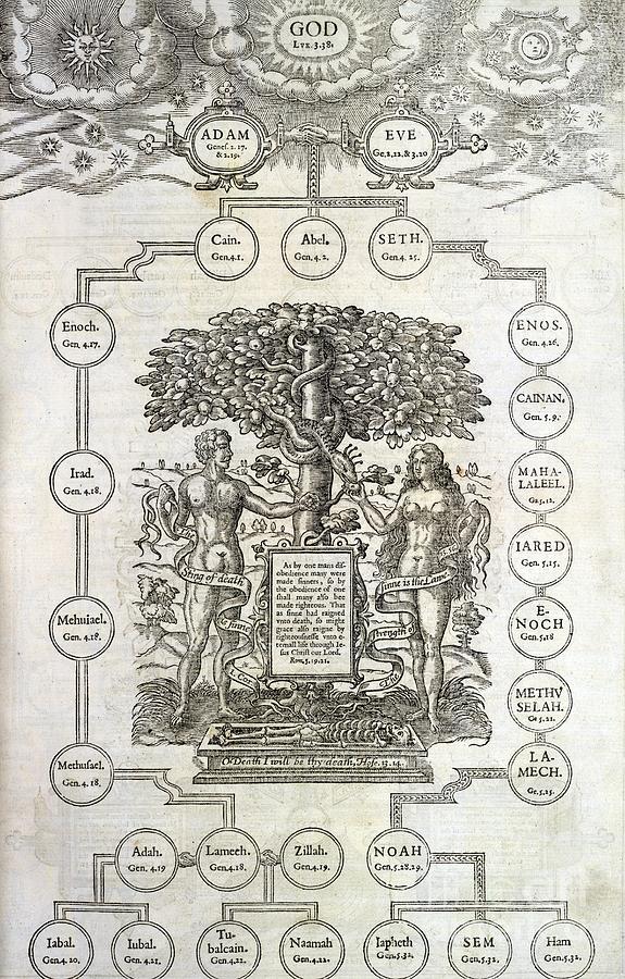 Descendants Of Adam And Eve, Artwork Photograph by British Library