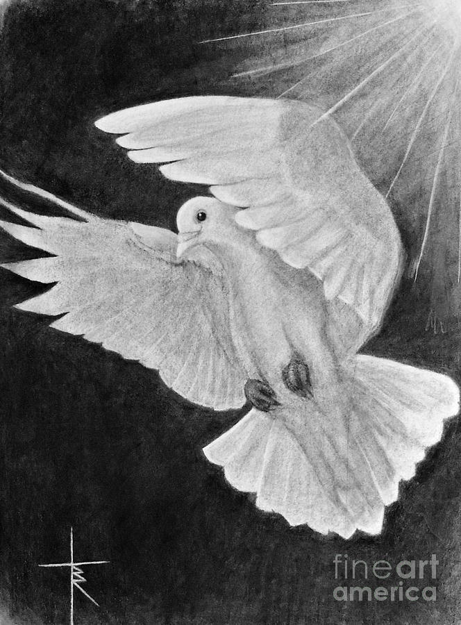 holy spirit dove drawing