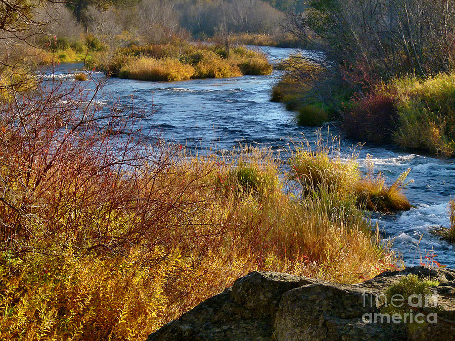 Deschutes River at Cline Falls State Park Photograph by Terry Dorvinen ...