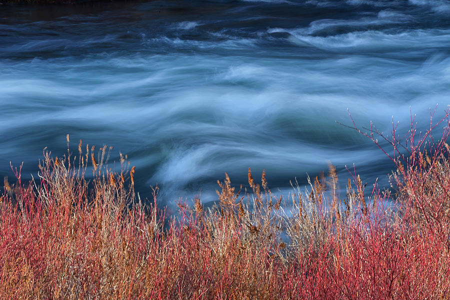 Nature Photograph - Deschutes River, Near Town by Rhz