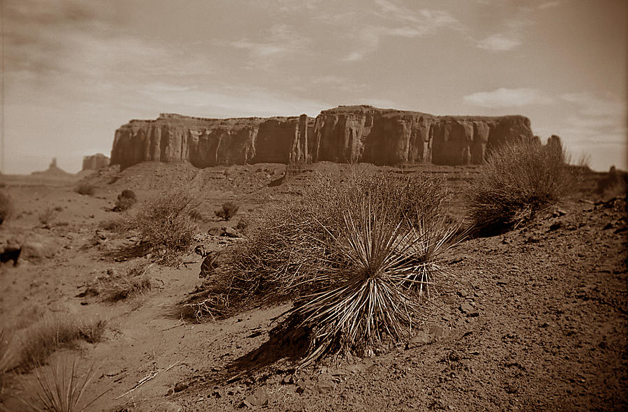 Desert 1 Photograph by Matthew Pace