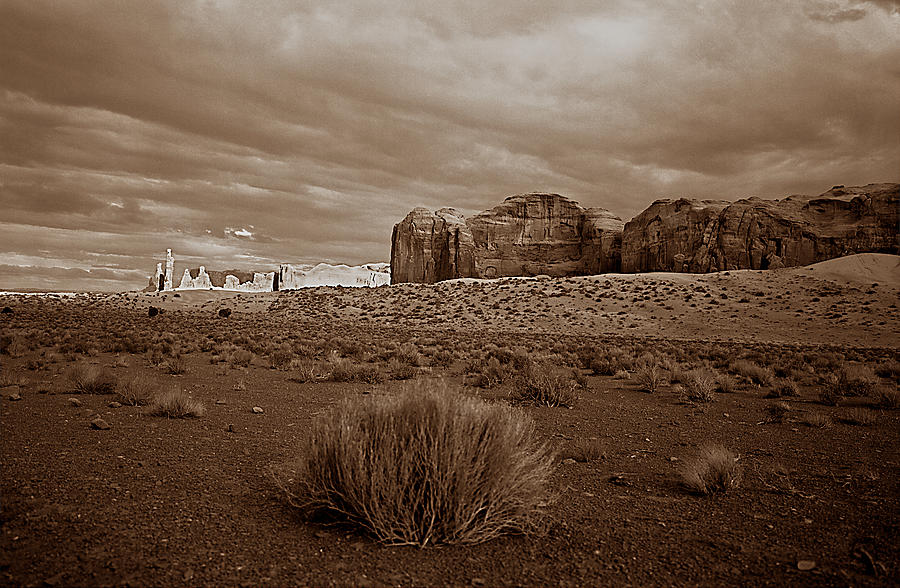 Desert 2 Photograph by Matthew Pace