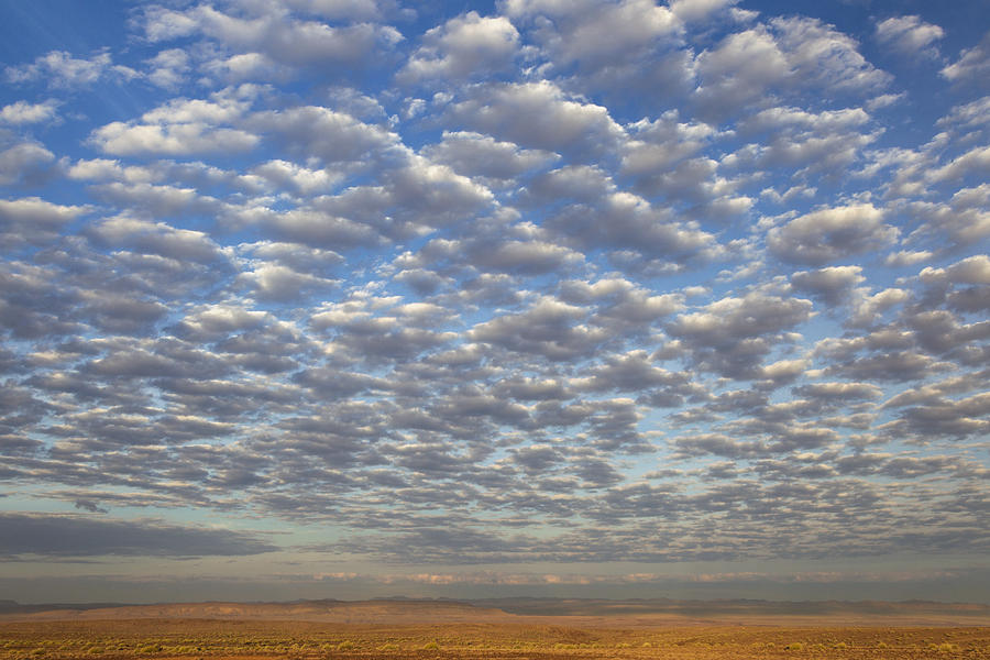 Desert And Altocumulus Clouds Namib Photograph by Vincent Grafhorst