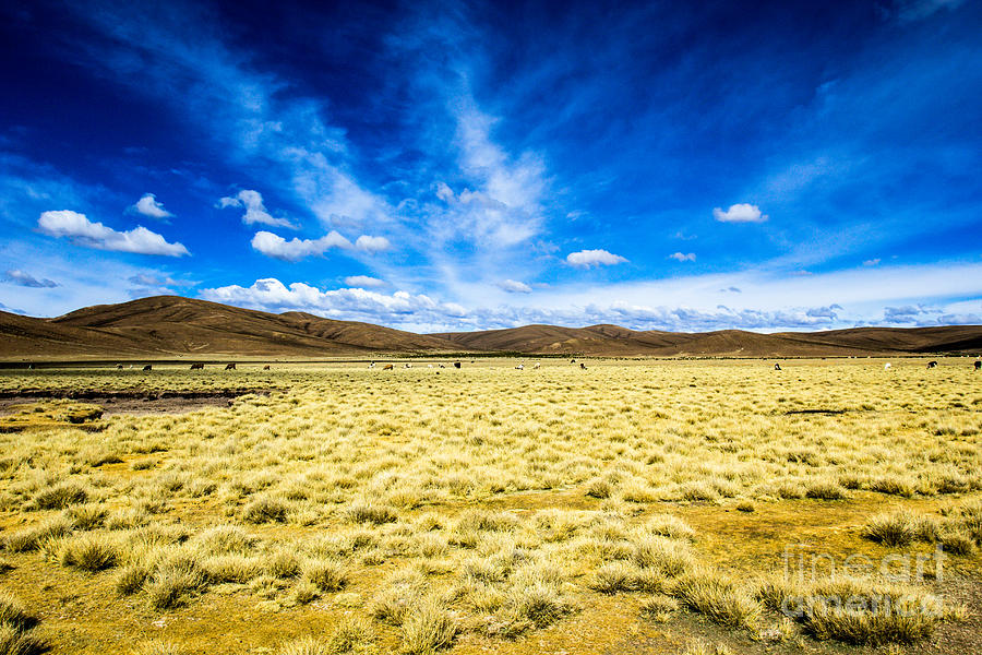 Desert And Mountain Over Blue Sky Photograph