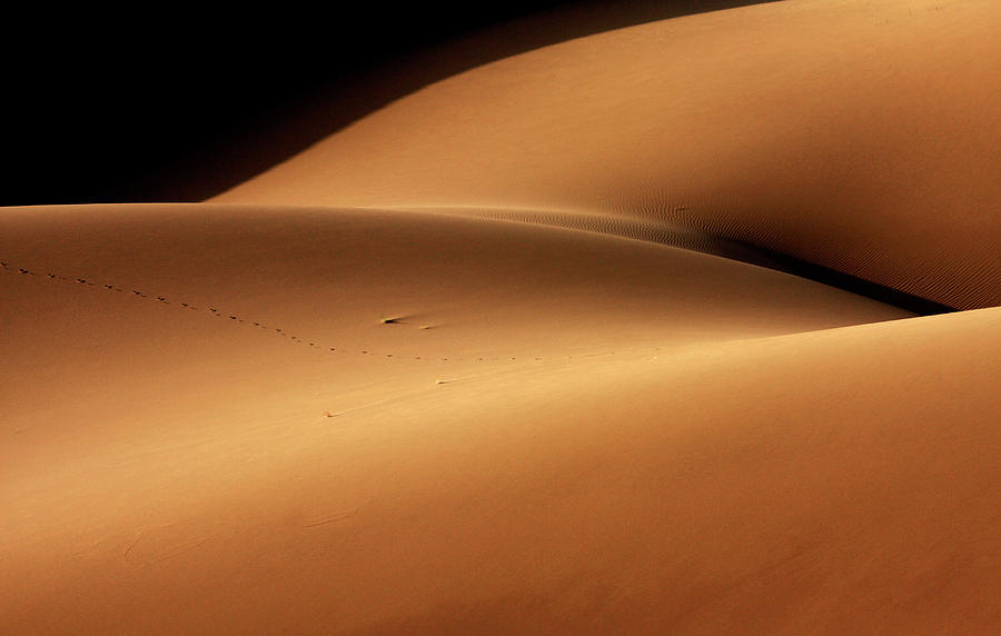 Desert And The Human Torso Photograph by Ebrahim Bakhtari Bonab
