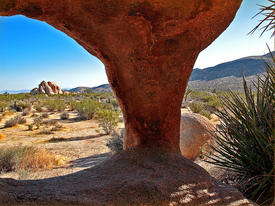 Desert Arch Photograph by David Salter