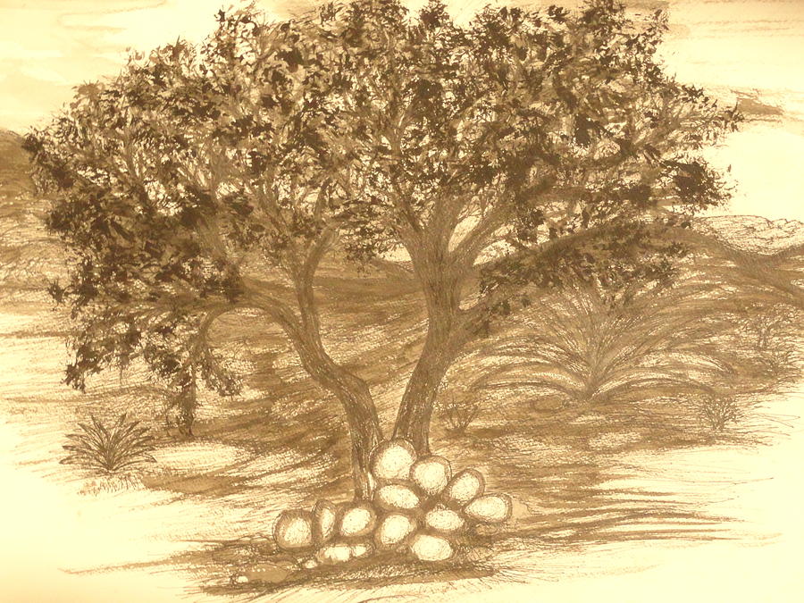 Desert at Dusk Drawing by Robard Johnson