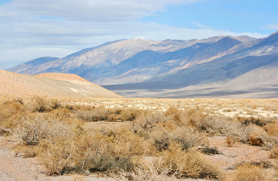 Desert Before The Mountains Photograph by Marilyn Diaz - Fine Art America