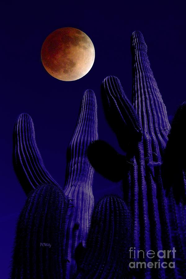 Desert Blood Moon Photograph by Patrick Witz