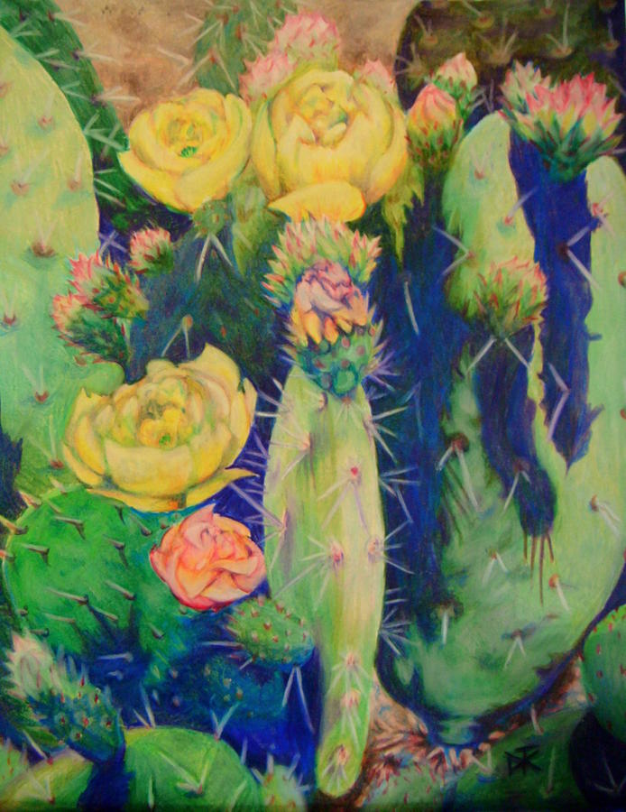 Desert Blooms Drawing by Diana Cardosi-Bussone - Fine Art America