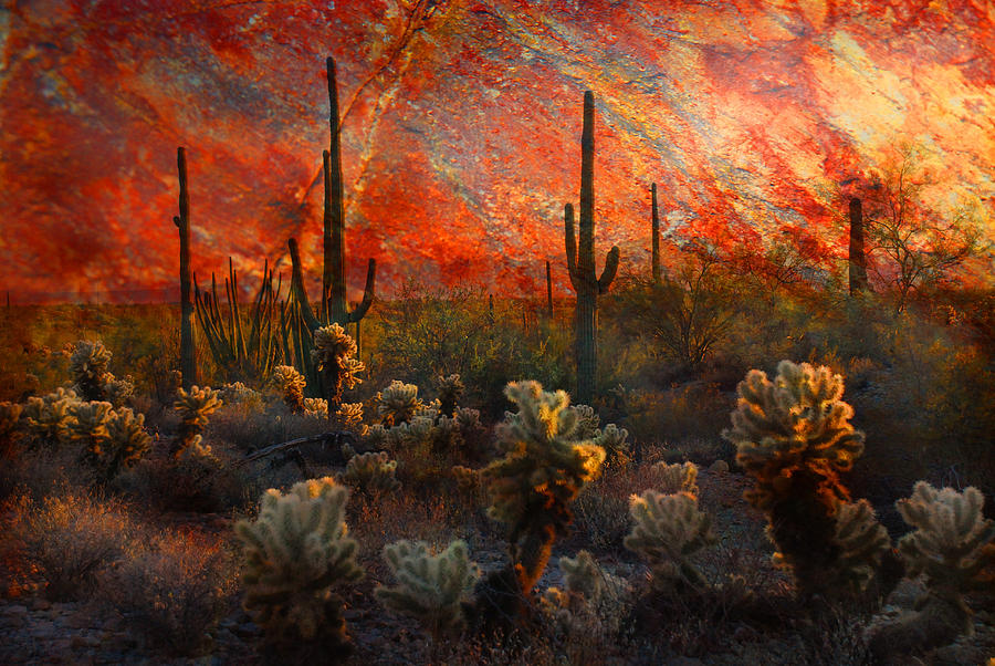 Desert Burn Photograph by Barbara Manis