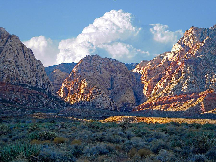 Desert Canyon Photograph by Frank Wilson