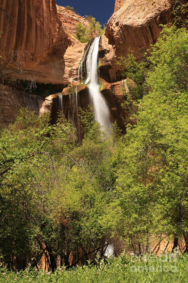 Desert Canyon Waterfall Photograph by Adam Jewell