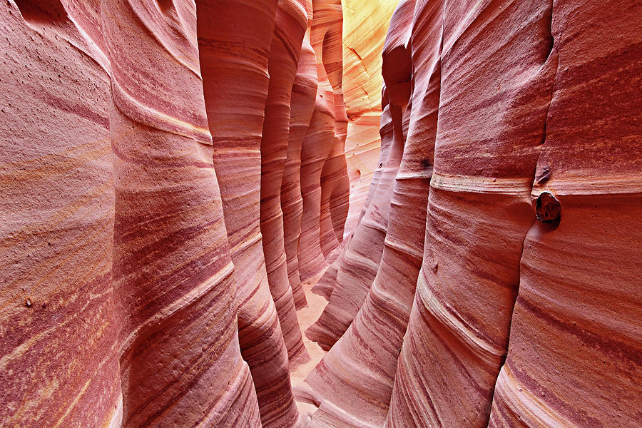 Desert Canyon With Stripes Glowing In Photograph by Chung Hu
