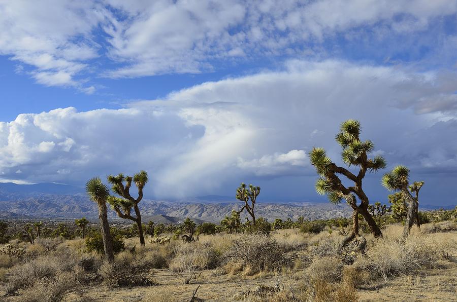 Desert Clouds Photograph by Yinguo Huang - Fine Art America