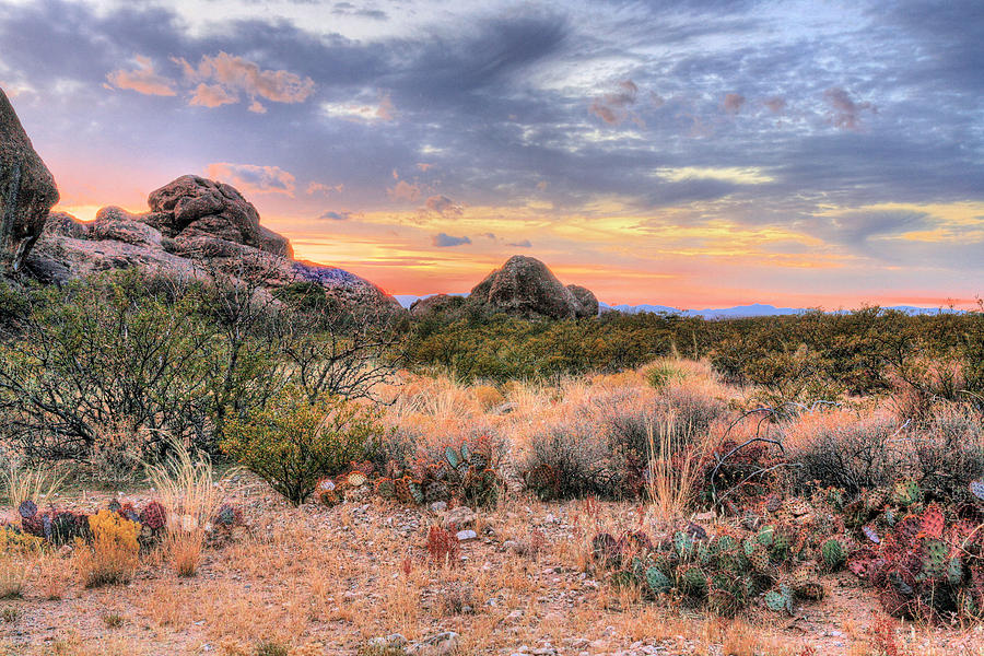 El Paso Photograph - Desert Color by JC Findley