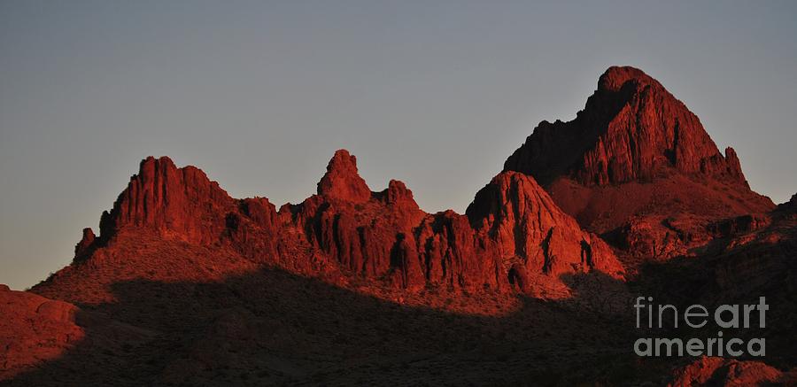Desert colors Photograph by Frank Larkin