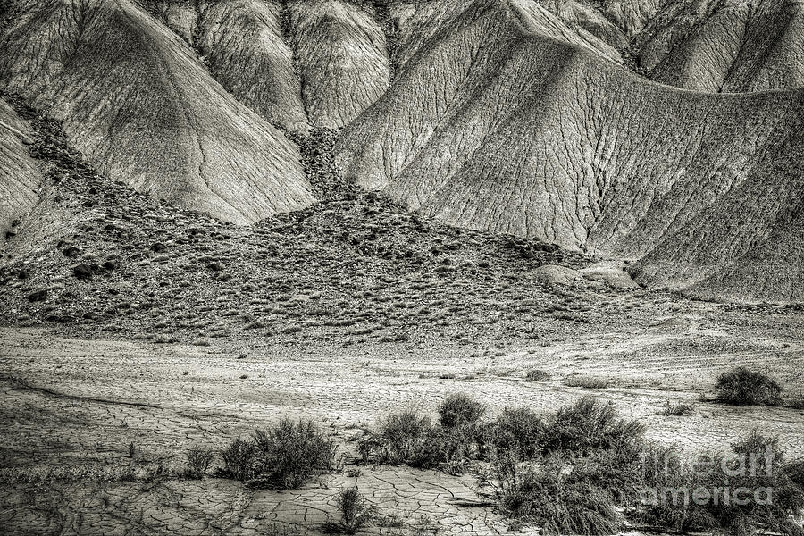 Desert Photograph by David Waldrop