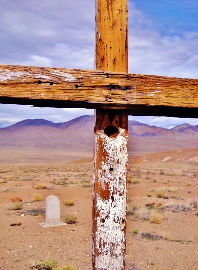 Desert Death Photograph by Marilyn Diaz