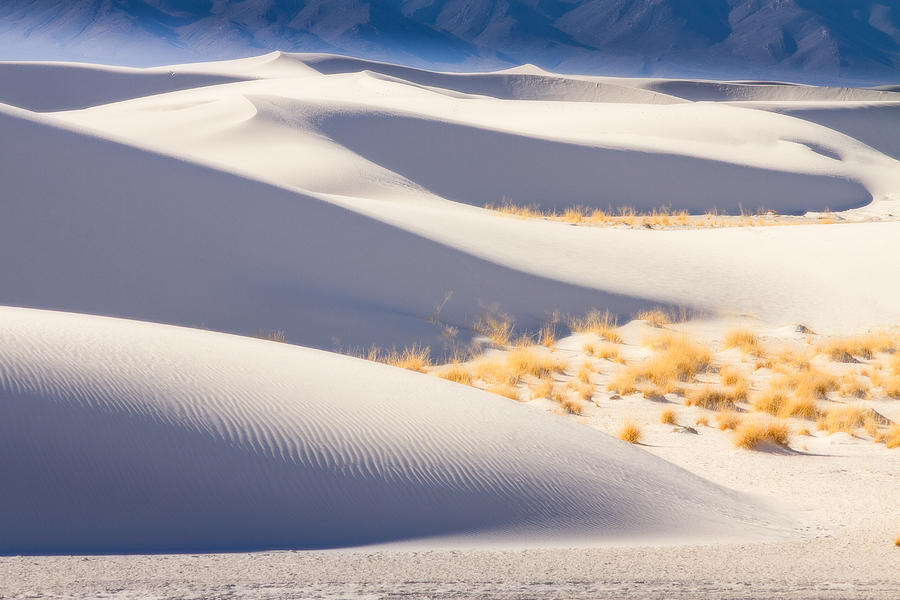 Desert Design Photograph by Kristal Kraft