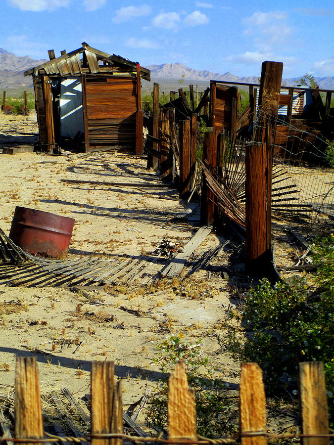 Desert Desolation Photograph by Randall Weidner