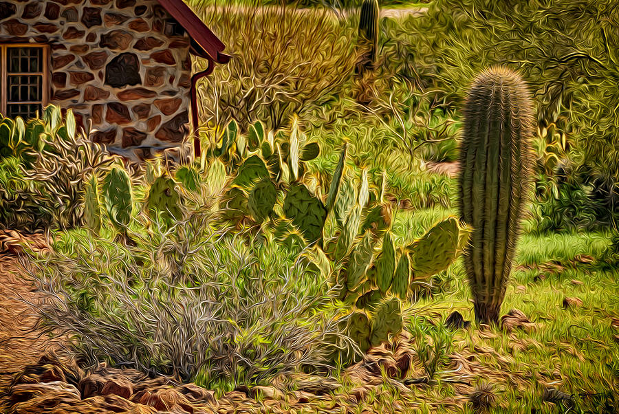 Tucson Photograph - Desert Dream by Mark Myhaver