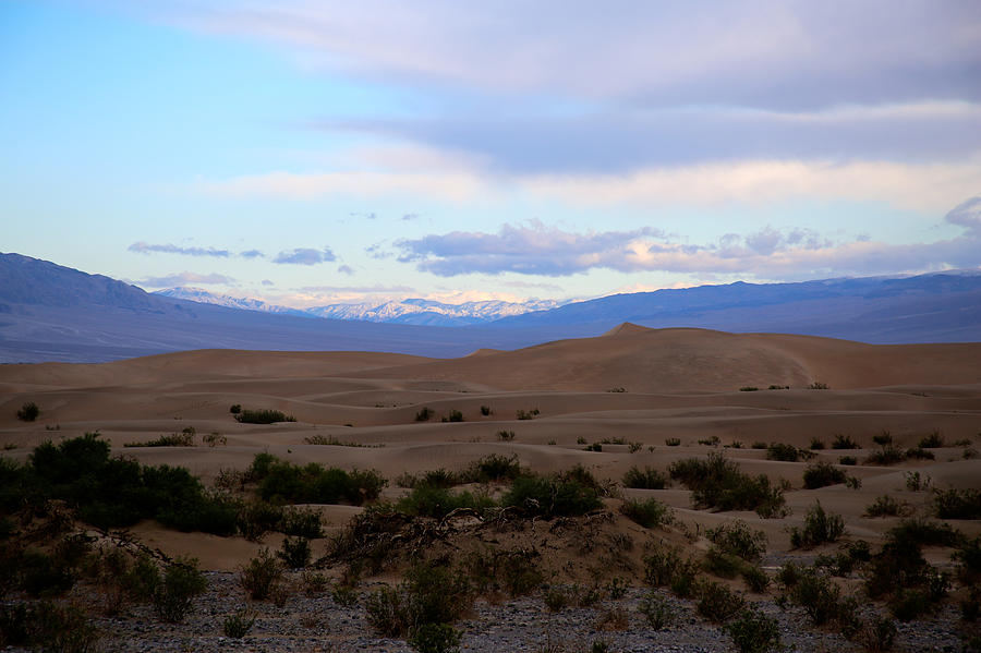 Desert Dune Landscape Photograph by Marc Levine - Fine Art America