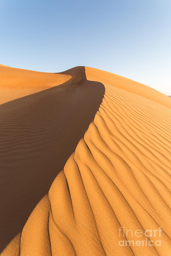 Desert dunes at sunset - Oman Photograph by Matteo Colombo