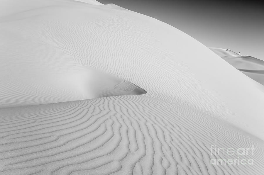 Dunes Photograph - Desert Dunes by Jennifer Magallon
