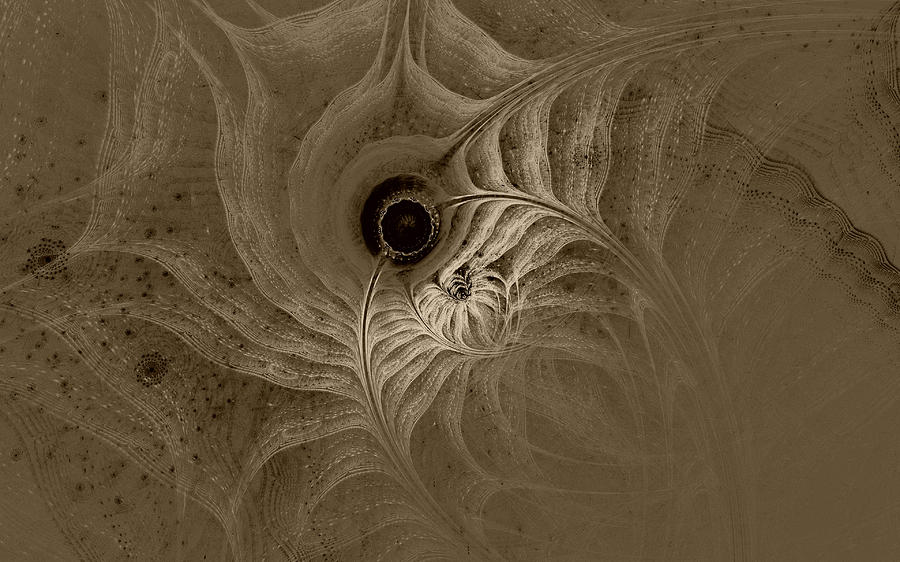 Desert Digital Art - Desert Etching by Gary Blackman