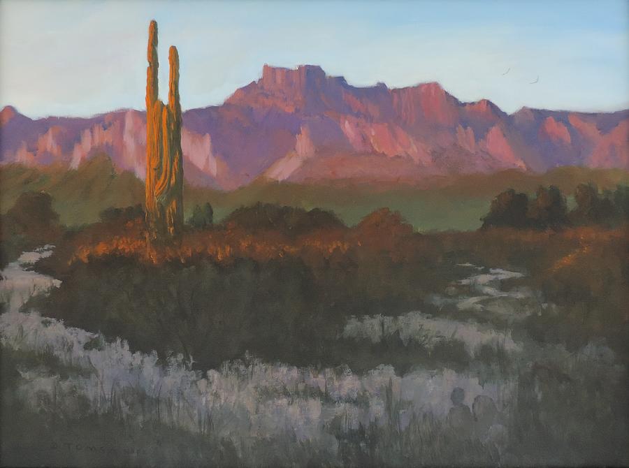 Desert Sunset Glow  Painting by Bill Tomsa