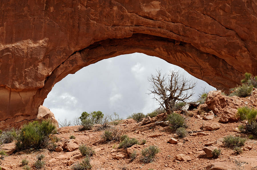 Desert Eye - Arches National Park Photograph by Darin Volpe