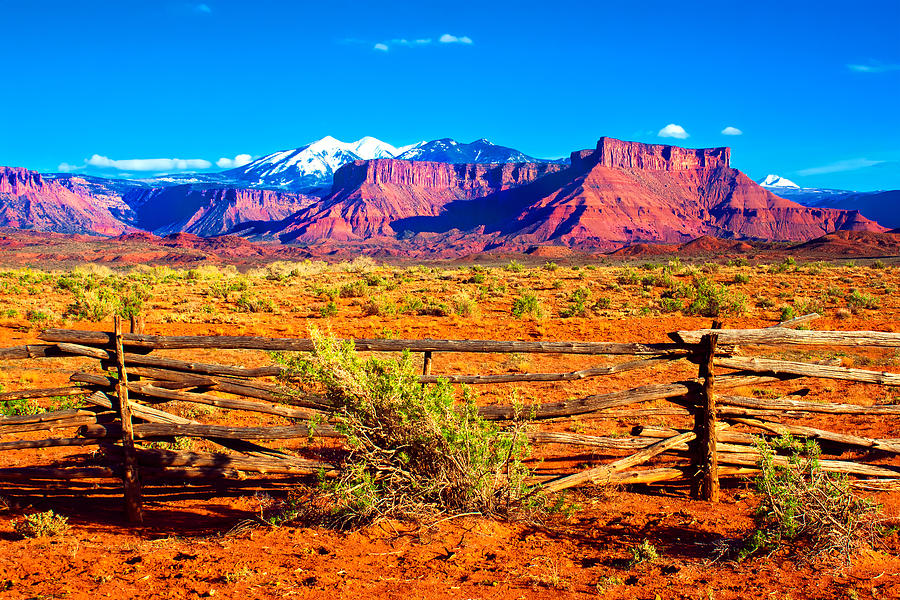 Desert Fenceline Photograph by Rick Wicker