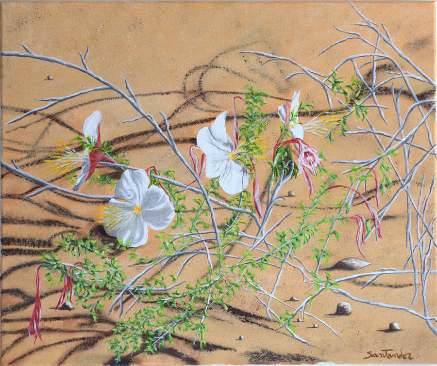 Desert flower Painting by Paul Santander