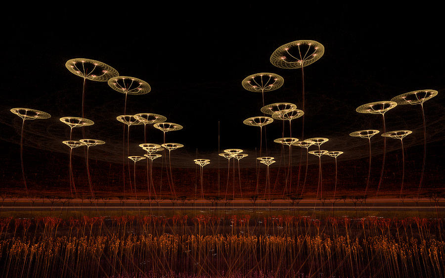 Desert Flowers Digital Art by Gary Blackman