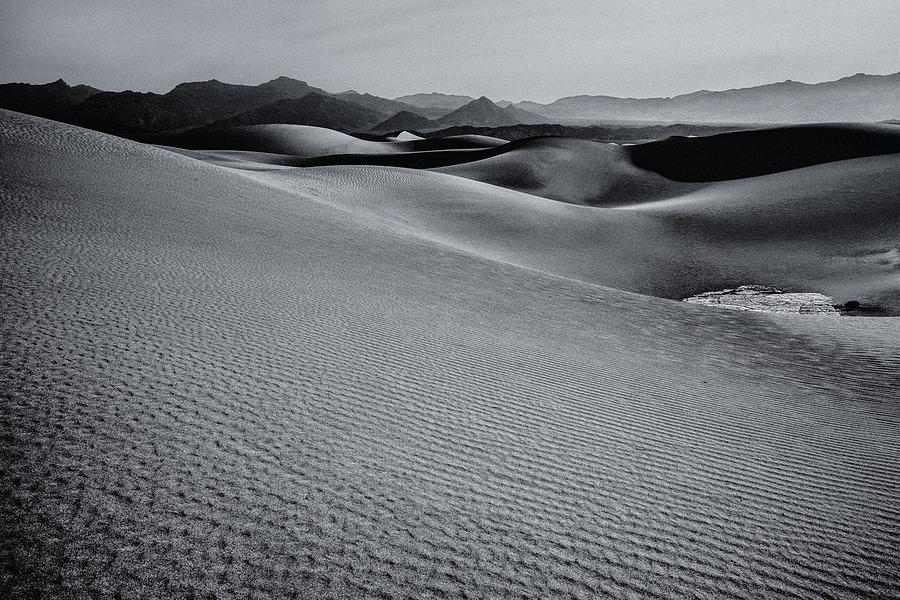 Desert Forms Photograph by Gene Garnace