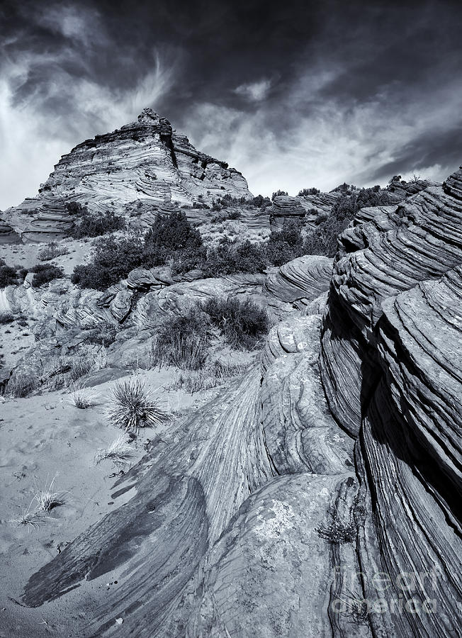 Desert Groove Photograph by Michael Dawson - Fine Art America