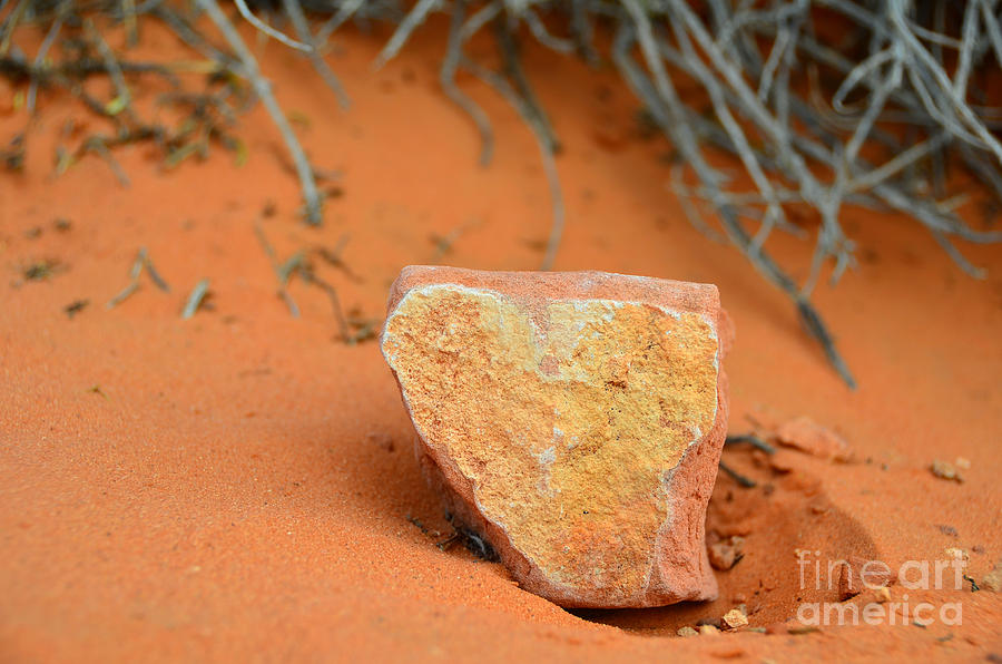 Desert Heart Rock Photograph by Debra Thompson