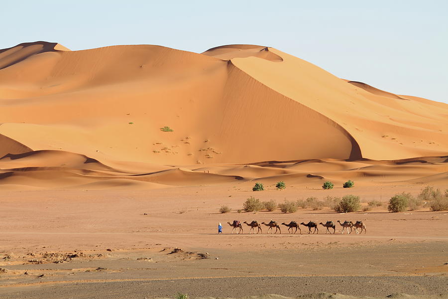 Desert Photograph by Jol