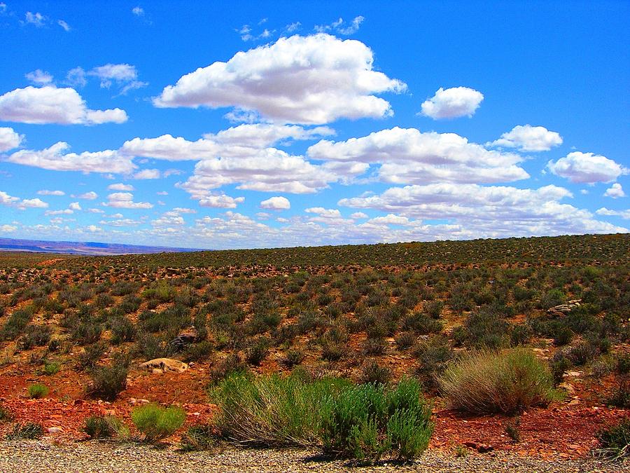 Desert Photograph by Julia Ivanovna Willhite