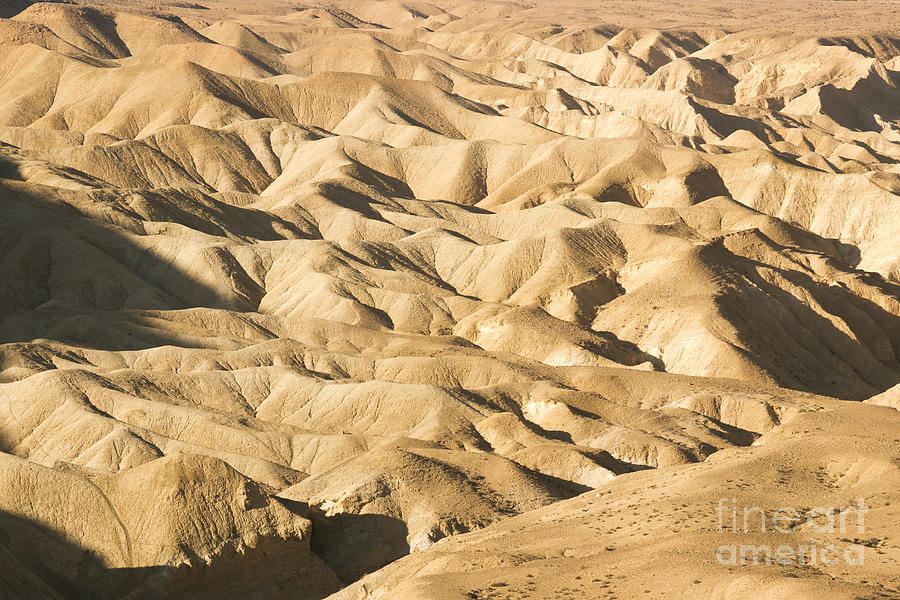 Desert Landscape Photograph by Eyal Bartov