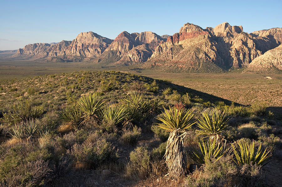 Desert Landscape Photograph by John Elk