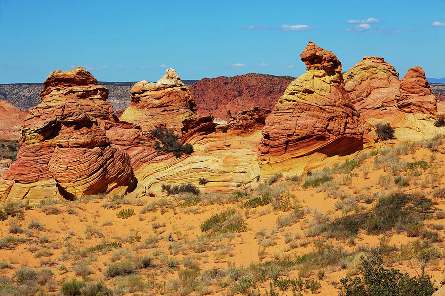 Desert Landscape Photograph by Lucynakoch
