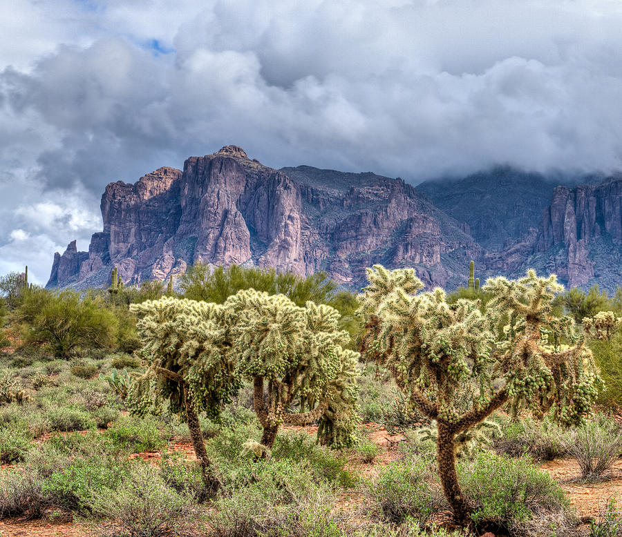 Desert Landscape Photograph by Merilee Phillips