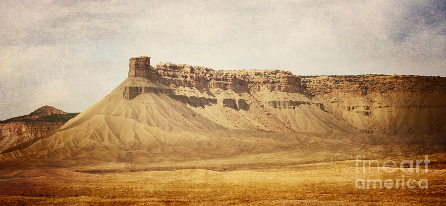 Desert Landscape Photograph by Pam  Holdsworth