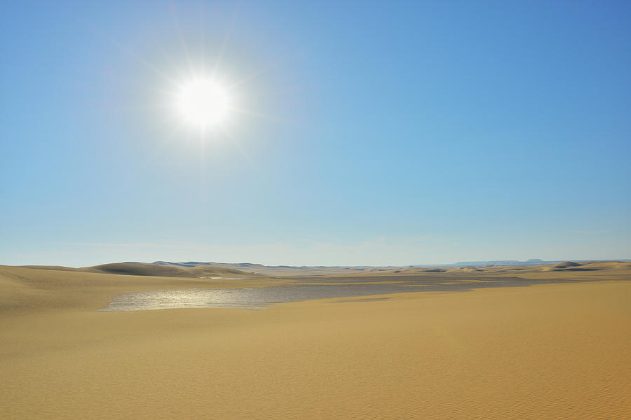 Desert Landscape With Sun Photograph by Raimund Linke