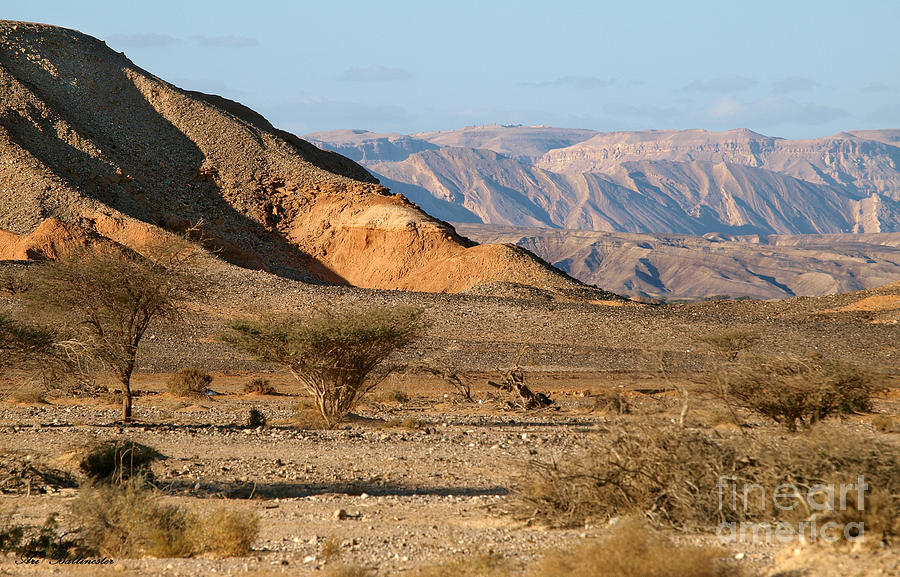 Desert Landscapes Photograph by Arik Baltinester