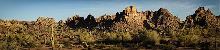 Desert Light Photograph by Betty Depee