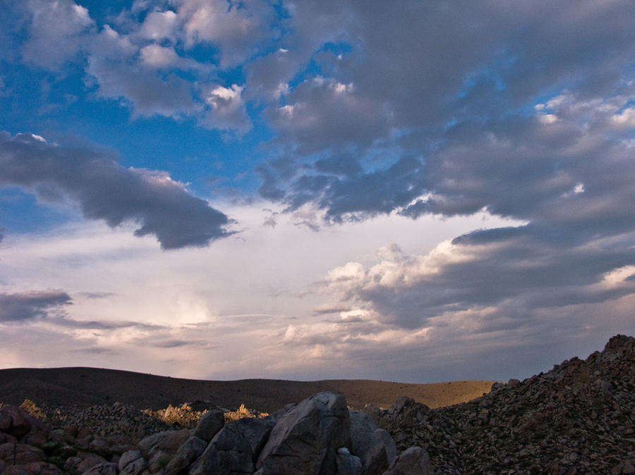 Desert Light Photograph by Elaine Goss