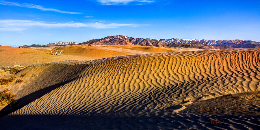 Desert Lines Photograph by Chad Dutson